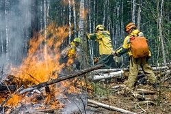 Предупреждение о высокой пожароопасности лесов