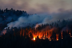 Режим ЧС из-за пожаров введен в Иркутской области