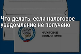 Что делать, если налоговое уведомление не получено 