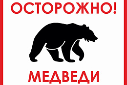 Внимание! В Усть-Кутском районе участились случаи выхода медведей к людям
