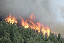 Четыре очага природных пожаров действуют в Усть-Кутском районе на 3 июня