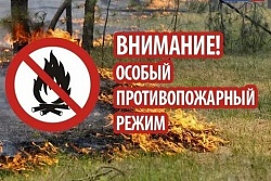 До 1 сентября продлён особый противопожарный режим в северных районах Иркутской области