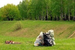 Сделаем вместе лес в Усть-Кутского района чистым!