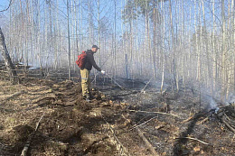 За минувшие сутки в Иркутской области ликвидировано 17 лесных пожаров