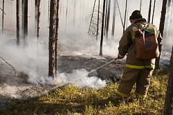 В Усть-Кутском районе ликвидирован 1 лесной пожар