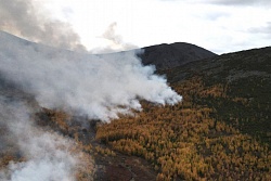 В лесном фонде Усть-Кутского района обнаружен 1 лесной пожар