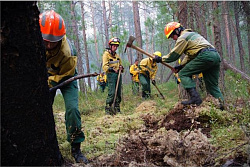 За минувшие сутки в лесном фонде Иркутской области ликвидировано два пожара