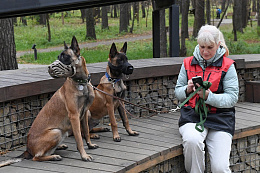 70 жителей Приангарья оштрафовано с начала года за несоблюдение правил по содержанию животных
