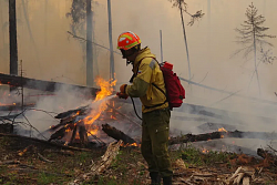 В лесном фонде Усть-Кутского района действует 4 лесных пожара, ещё 4 локализованы