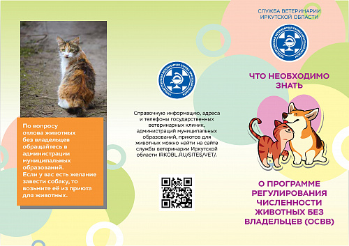 Домашние животные и ответственное обращение с ними