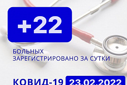 За сутки в Усть-Кутском районе выявлено 22 новых случаев коронавируса.