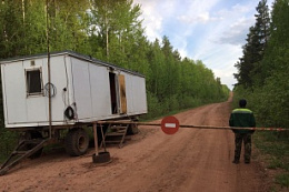 В Иркутской области с 20 июня вновь вводится ограничение на посещение лесов