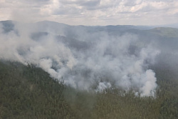 В Иркутской области за сутки потушили восемь лесных пожаров