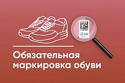 Продлена возможность маркировки обувных товаров до 1 июня 2021 года