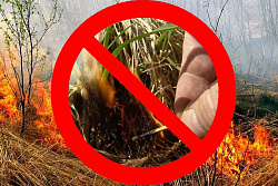 О недопустимости проведения плановых выжиганий сухой травы