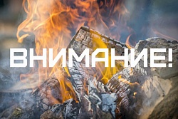 Информация по действующим лесным пожарам на территории  Усть-Кутского района на 2 сентября