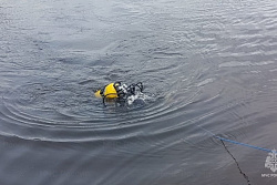 На реке Куте в Иркутской области утонул ребенок