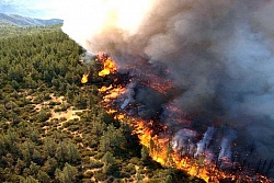 В лесном фонде Усть-Кутского района действует 3 лесных пожара