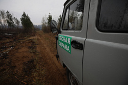 В Иркутской области за минувшие сутки ликвидировали два лесных пожара