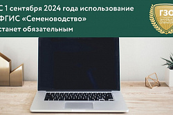 С 1 сентября 2024 года начнет свою работу Федеральная государственная информационная система «Семеноводство»