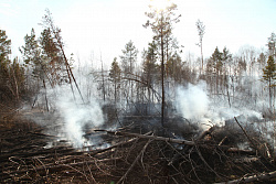 За минувшие сутки в Иркутской области ликвидировано два лесных пожара