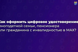 Подтвердить льготы многодетной семьи можно через приложение МАХ