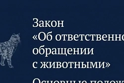  С 25 июля в Иркутской области — новые штрафы для владельцев животных