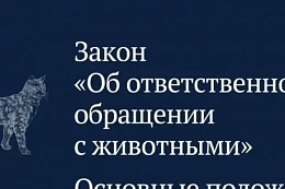  С 25 июля в Иркутской области — новые штрафы для владельцев животных