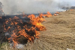 Первое неконтролируемое возгорание зафиксировали в Усть-Кутском районе сразу после объявления противопожарного режима.
