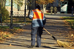 Меры социальной поддержки граждан в сфере занятости населения