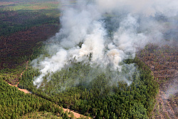 За минувшие сутки в Иркутской области ликвидировано четыре лесных пожара