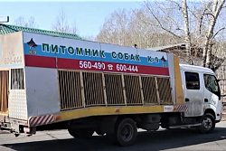 В Усть-Кутском районе отловили 21 собаку без владельцев