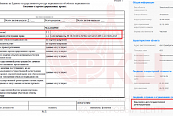 Как проверить правообладателя недвижимости в 2024 году