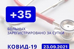 За сутки в Усть-Кутском районе выявлено 35 новых случаев коронавируса.