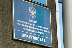 Отправь статистические данные  в Иркутскстат