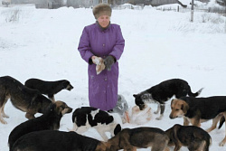 НЕ ПРИКАРМЛИВАЙТЕ БЕЗДОМНЫХ СОБАК — ЭТО ОПАСНО ДЛЯ ЖИЗНИ