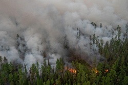 Информация по лесным пожарам на территории Усть-Кутского муниципального образования