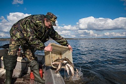 О предоставлению водных биологических ресурсов в пользование для осуществления традиционного рыболовства 