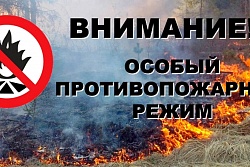 Напоминаем, что на территории Усть-Кутского района  до 30 июля  установлен особый противопожарный режим!