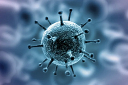 О проведении дополнительных санитарно-противоэпидемических мероприятий по коронавирусу