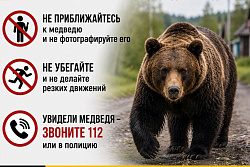 В Усть-Кутском районе участились случаи выхода медведей к людям