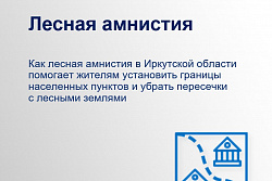 Как лесная амнистия в Иркутской области помогает уточнить границы населенных пунктов и зачем это нужно