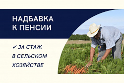 Более 6 тысяч жителей Иркутской области получают пенсию в повышенном размере за работу в сельском хозяйстве