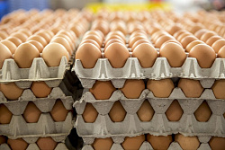 В Иркутской области проводится мониторинг выполнения условий Меморандума о неповышении цен на яйцо куриное