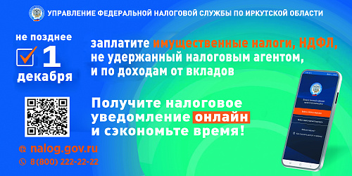 Жителям Усть-Кутского района необходимо уплатить налоги за 2024 год до 1 декабря 