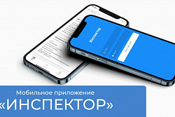 Министерство лесного комплекса Иркутской области проводит консультирование лесопользователей с помощью мобильного приложения «Инспектор»