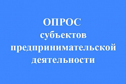 Опрос хозяйствующих субъектов Иркутской области на тему: «Потребность хозяйствующих субъектов в предоставлении мест для размещения нестационарных торговых объектов»