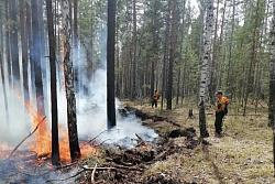 В Иркутской области накануне ликвидировали один лесной пожар