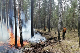 В Иркутской области накануне ликвидировали один лесной пожар