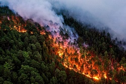 На территории Усть-Кутского района действует 2 лесных пожара общей площадью 202 га, ещё 4 локализованы